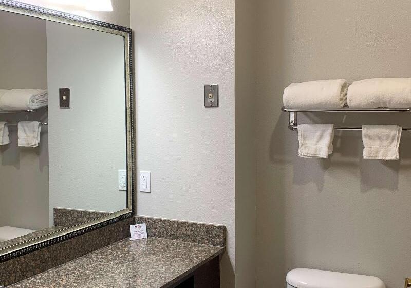 Стандартный Номер Кровать Кинг, Best Western Plus Lake Worth