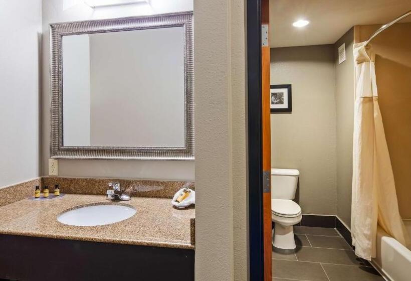 Стандартный Номер Кровать Кинг, Best Western Plus Midwest City Inn & Suites