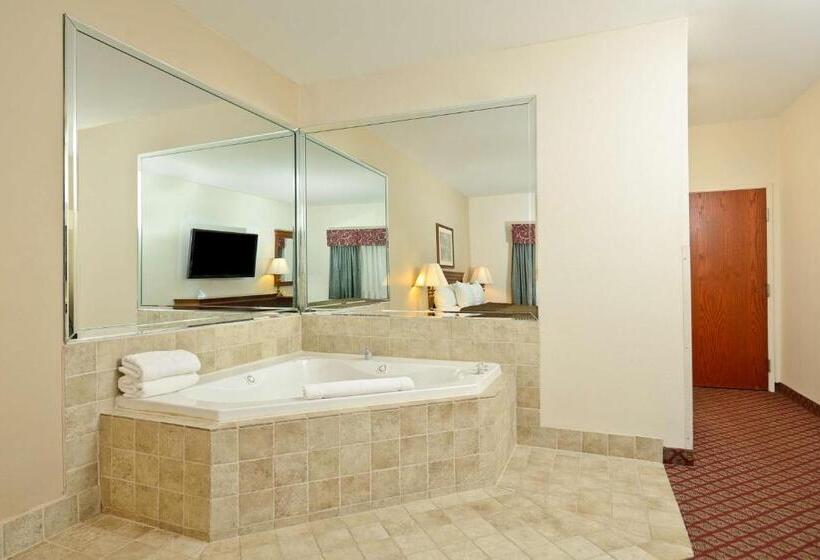 스탠다드 룸 킹사이즈 침대, Best Western River Cities