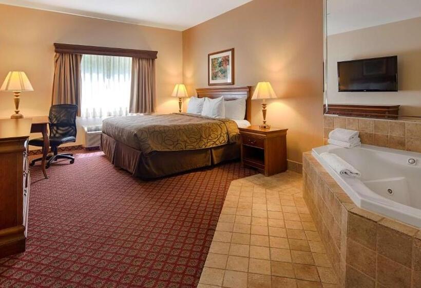 스탠다드 룸 킹사이즈 침대, Best Western River Cities