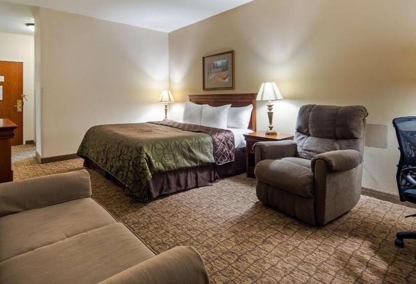 장애인을 위한 킹사이즈 침대 스탠다드 룸, Best Western River Cities