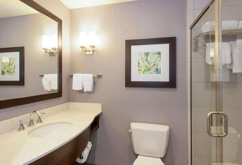 سوییت جونیور, Hilton Garden Inn Raleigh Cary