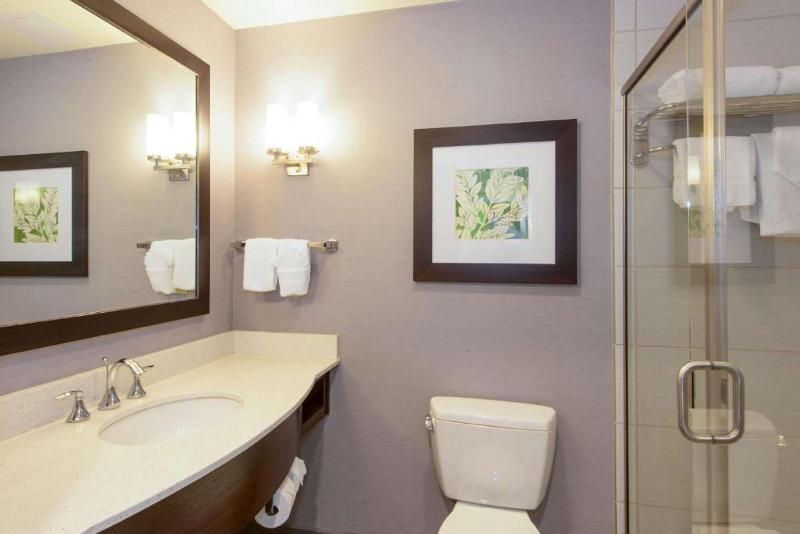 اتاق استاندارد با تخت بزرگ, Hilton Garden Inn Raleigh Cary