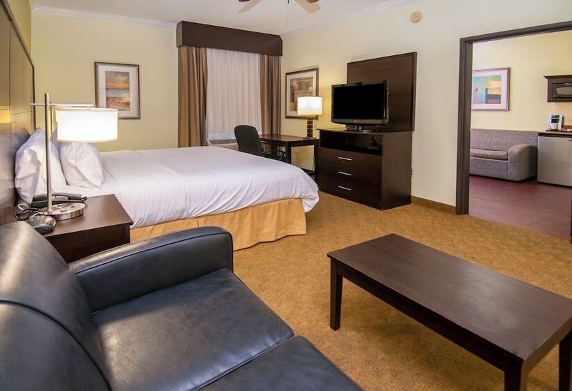 スイート, Holiday Inn Express Hotel & Suites Houston North Intercontinental, An Ihg