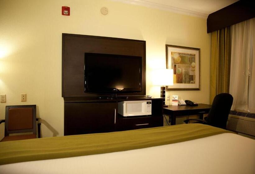 身障者適用キングサイズベッドルーム, Holiday Inn Express Hotel & Suites Houston North Intercontinental, An Ihg