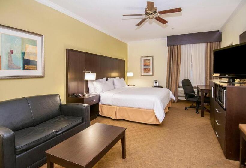 スイート, Holiday Inn Express Hotel & Suites Houston North Intercontinental, An Ihg