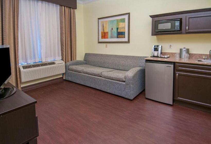 スイート, Holiday Inn Express Hotel & Suites Houston North Intercontinental, An Ihg