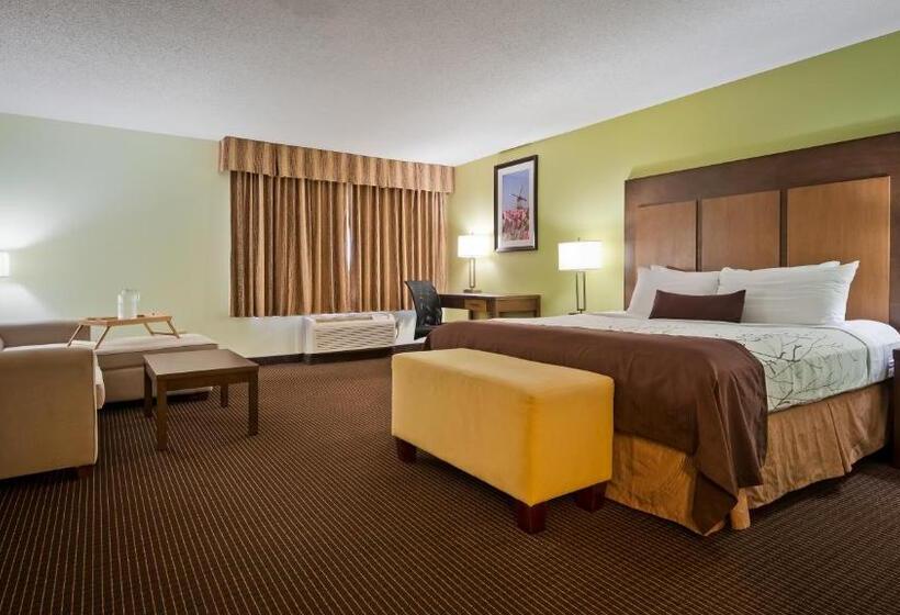 Люкс Кровать Кинг, White Pine Inn & Suites