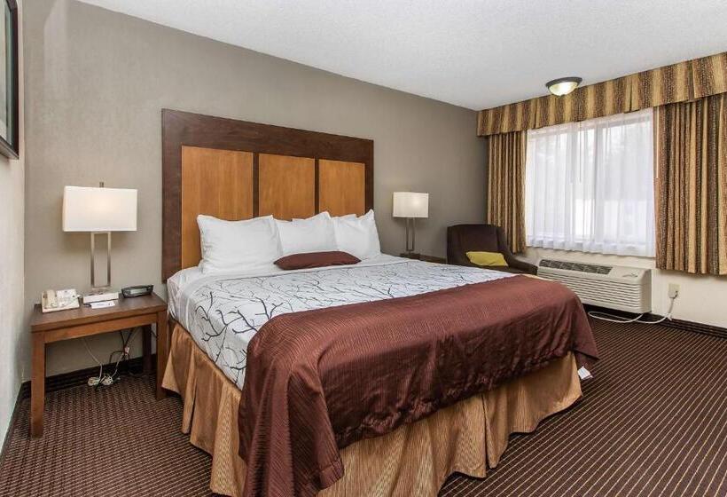 Стандартный Номер Кровать Кинг, White Pine Inn & Suites