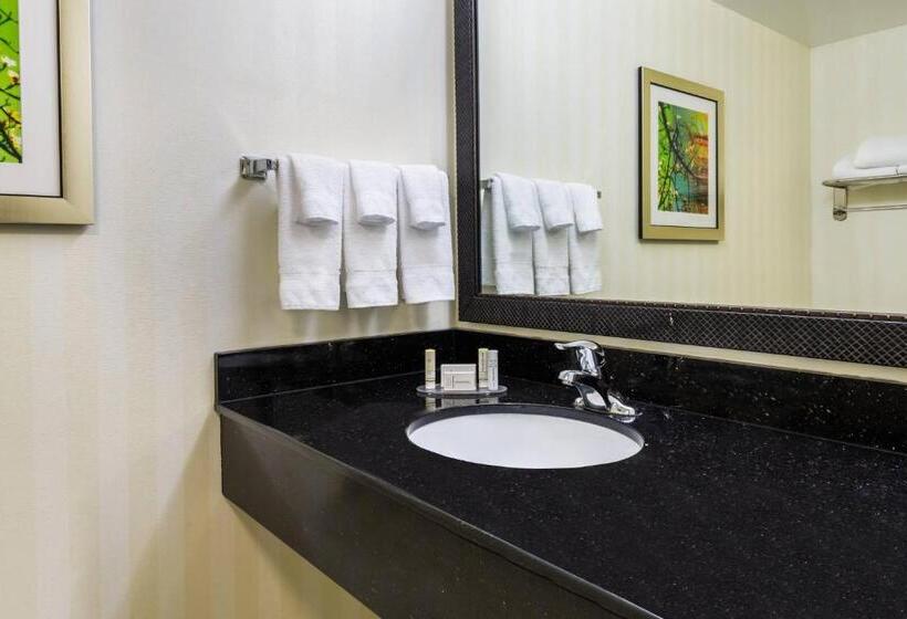 استودیو استاندارد با تخت کینگ, Fairfield Inn & Suites – Buffalo Airport