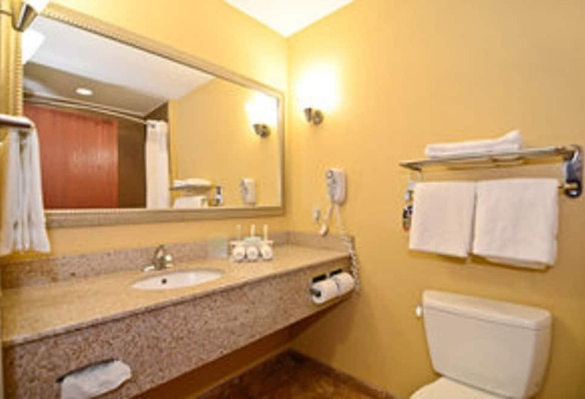 Люкс, Holiday Inn Express & Suites Bonifay, An Ihg