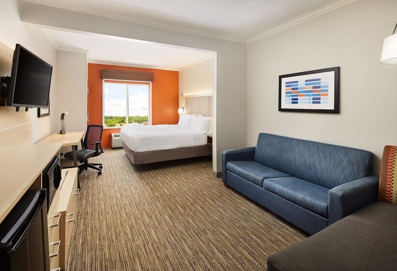 スイート, Holiday Inn Express & Suites Bonifay, An Ihg
