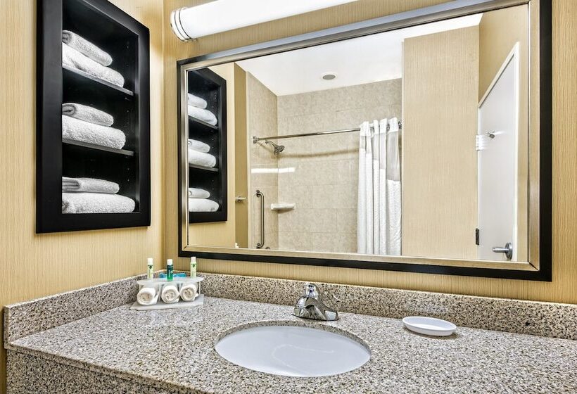 Люкс, Holiday Inn Express & Suites Cotulla, An Ihg