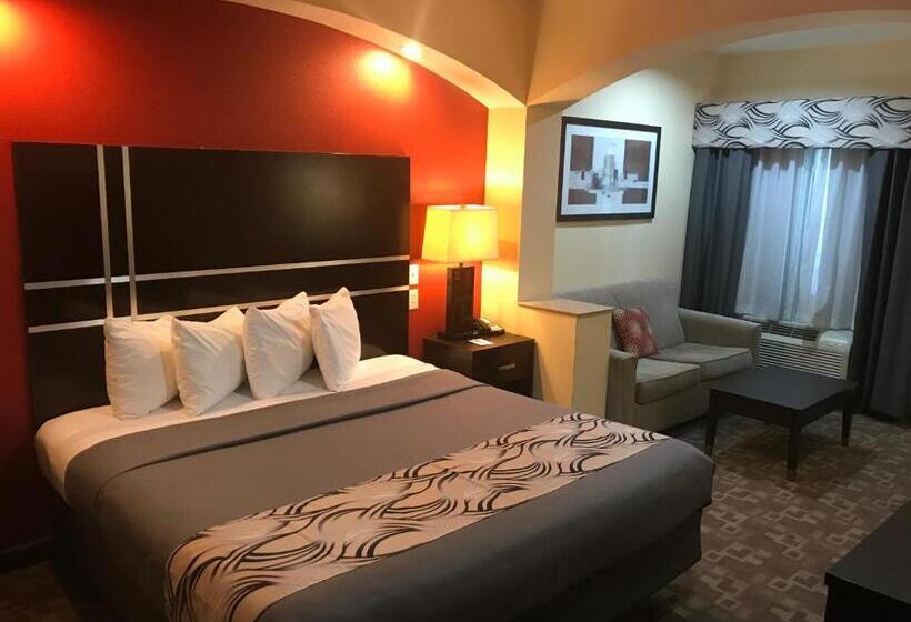 חדר סטנדרט מותאם לאדם עם מוגבלויות, Regency Inn & Suites  Baytown