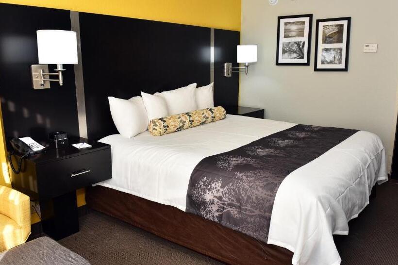 Номер Стандарт Кровать Кинг Адаптированный для Инвалидов, Best Western Plus Fairburnatlanta Southwest
