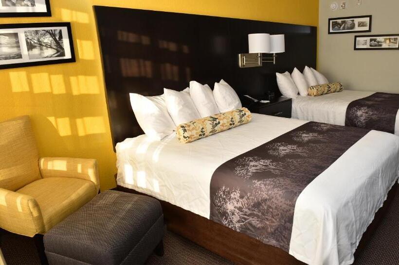 스탠다드 룸, Best Western Plus Fairburnatlanta Southwest