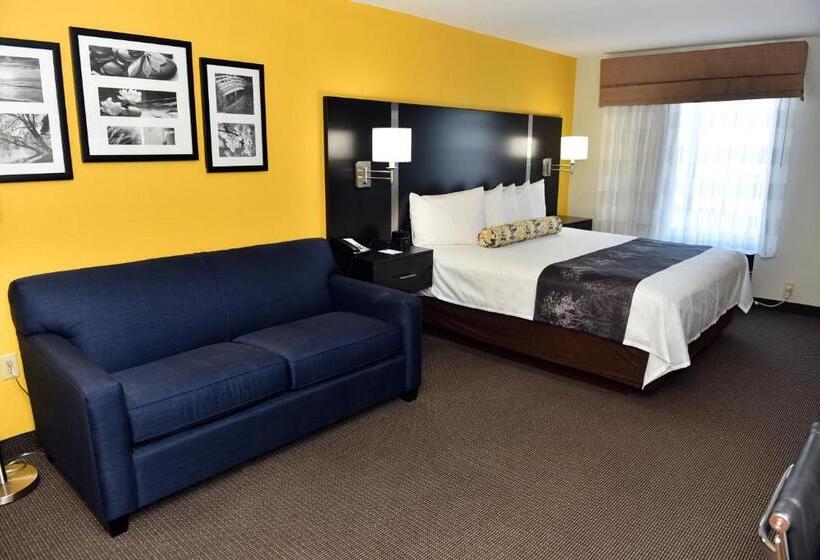 Номер Executive Кровать Кинг, Best Western Plus Fairburnatlanta Southwest