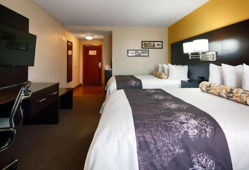 Номер Стандарт Адаптированный для Инвалидов, Best Western Plus Fairburnatlanta Southwest
