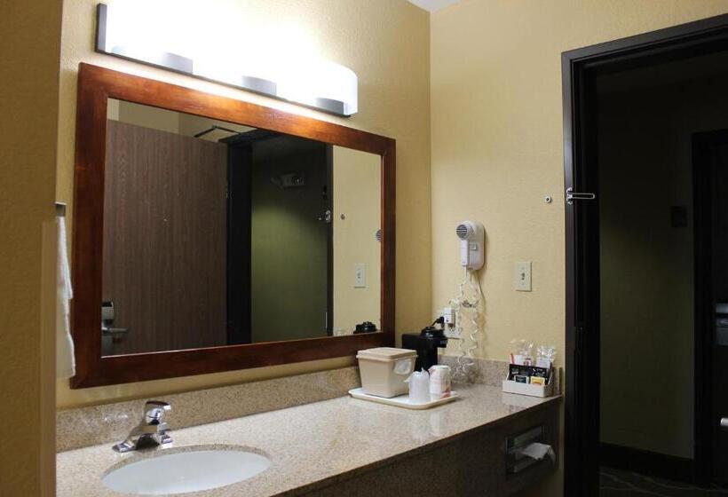 Стандартный Номер Кровать Кинг, Comfort Inn Green Valley I 19