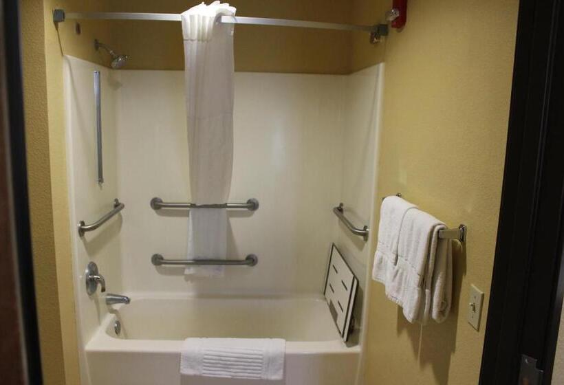 Номер Стандарт Кровать Кинг Адаптированный для Инвалидов, Comfort Inn Green Valley I 19