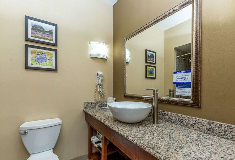 Люкс, Comfort Suites Old Town Spring