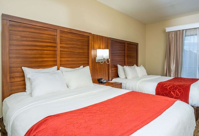 Люкс, Comfort Suites Old Town Spring