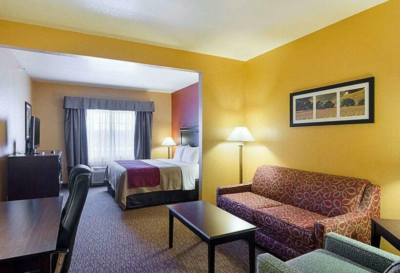 스위트 킹사이즈 침대, Comfort Inn & Suites Orange   Montpelier