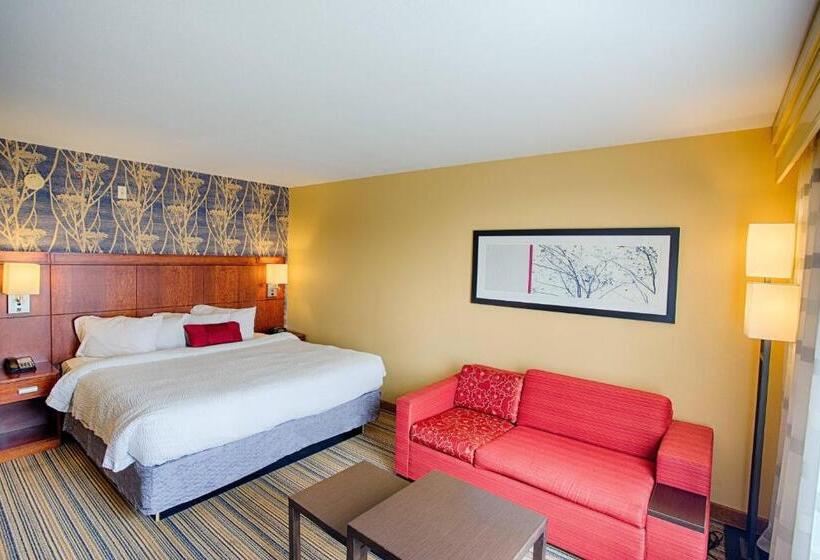 غرفة قياسية سرير كينج لذوى الإحتياجات الخاصة, Courtyard Fargo Moorhead, Mn