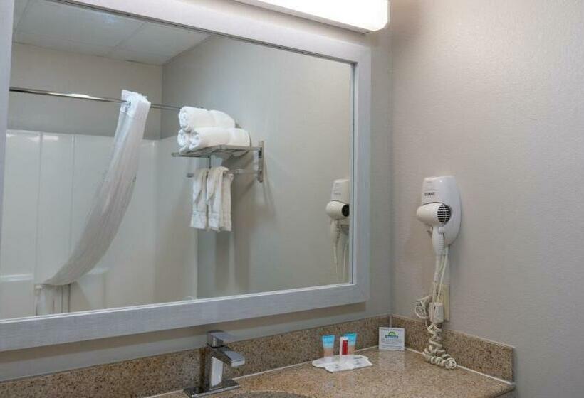Номер Стандарт, Days Inn & Suites By Wyndham Savannah North I95