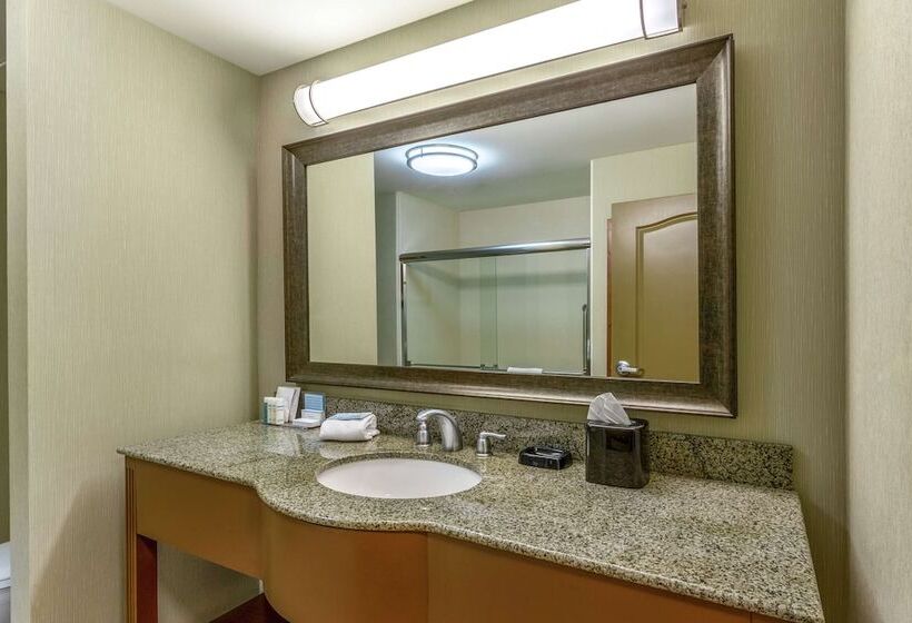 스탠다드 룸, Hampton Inn Okeechobee   Lake Okeechobee