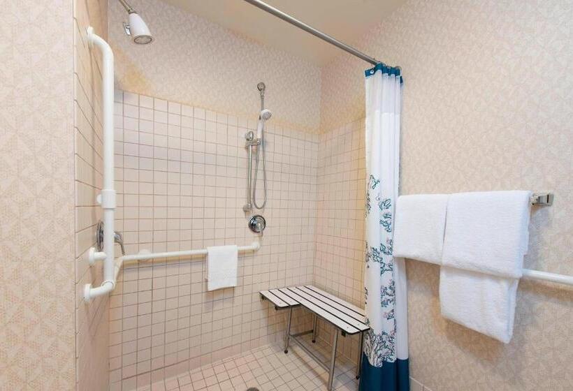 Люкс Кровать Кинг, Residence Inn Toledo Maumee