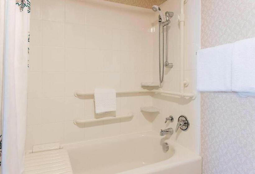 Люкс Кровать Кинг, Residence Inn Toledo Maumee