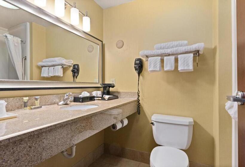 스탠다드 룸 킹사이즈 침대, Surestay Plus Hotel By Best Western Portland Route 52 West