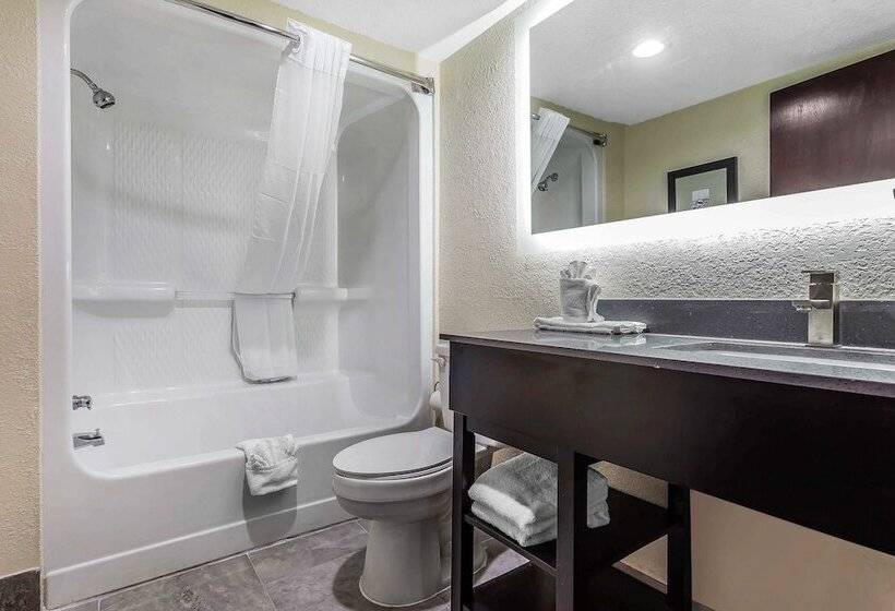 Люкс, Quality Inn & Suites
