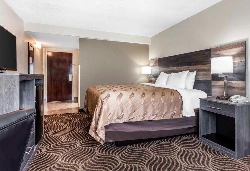 Стандартный Номер Кровать Кинг, Quality Inn & Suites