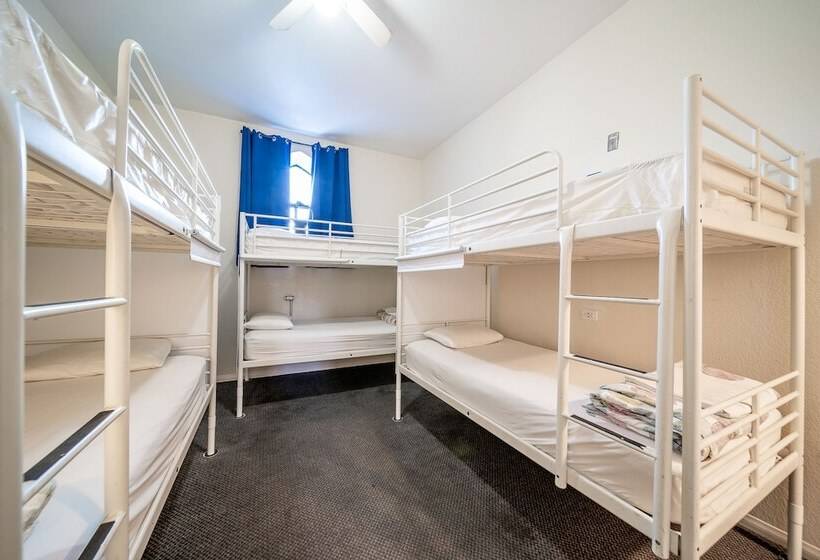 Bed in Shared Room with Shared Bathroom, Samesun Venice Beach Hotel & Hostel