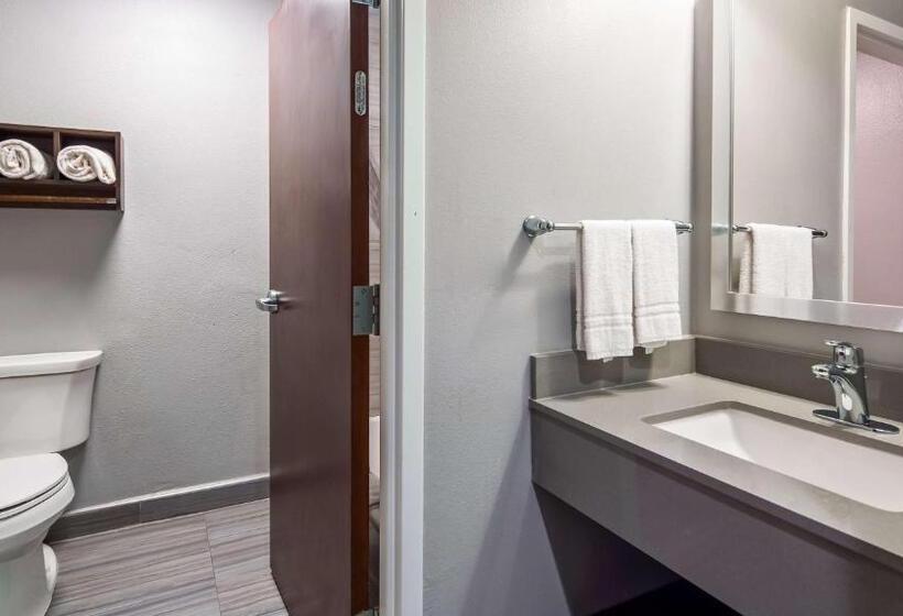 Стандартный Номер Кровать Кинг, Best Western Town Center Inn