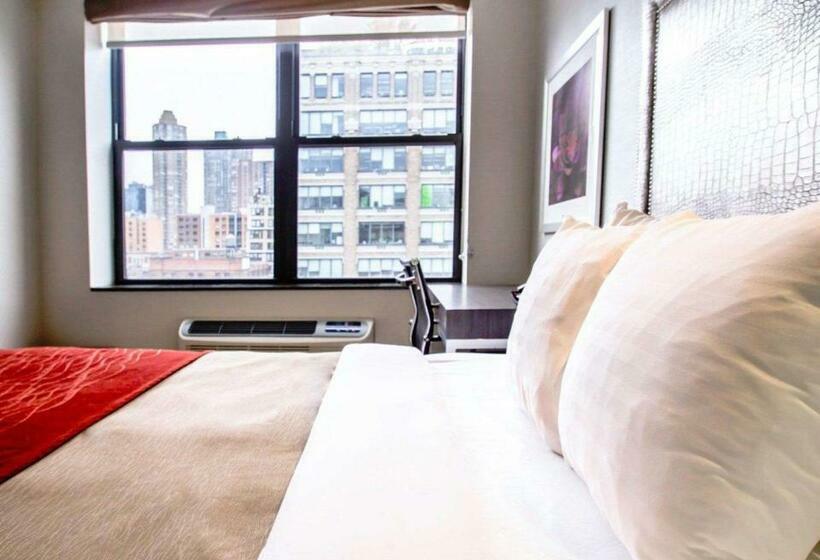 장애인을 위한 스탠다드 룸, Comfort Inn Manhattan  Midtown West