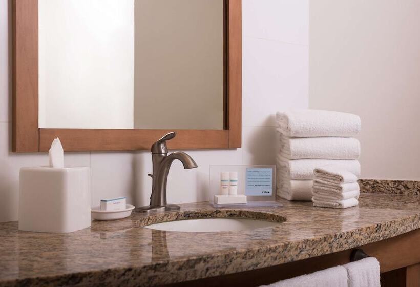 سوییت جونیور, Hampton Inn By Hilton Guadalajara/expo