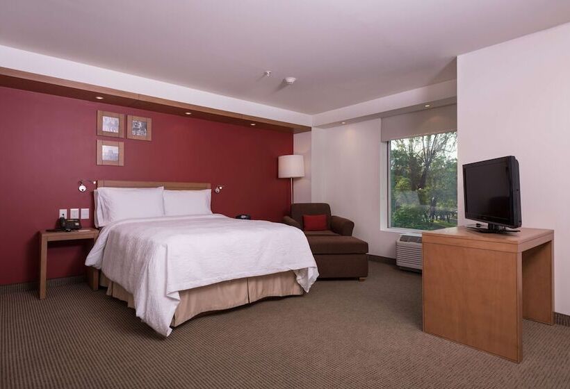 سوییت جونیور, Hampton Inn By Hilton Guadalajara/expo