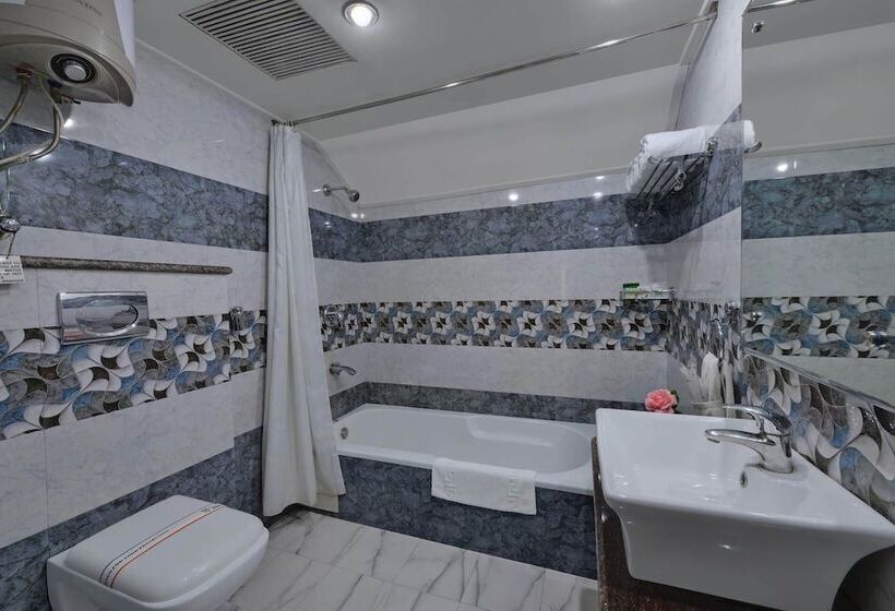 스위트, Bravia Hotel Manali Inn