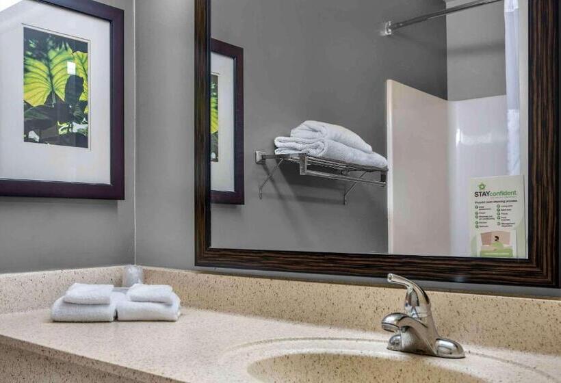 استودیو استاندارد با تخت کینگ, Extended Stay America Suites  Washington, D.c.  Chantilly  Dulles South