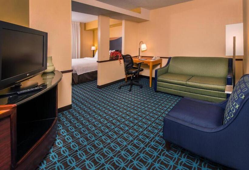 سوئیت با تخت بزرگ, Fairfield Inn Dulles Airport Chantilly