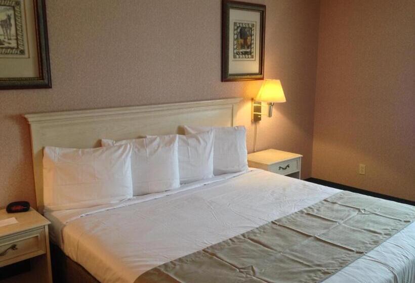 Стандартный Номер Кровать Кинг, Parkside Inn Bridgeview