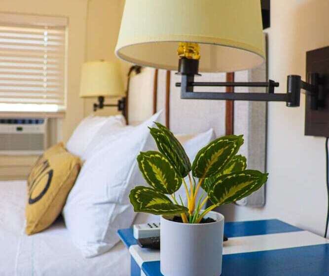 اتاق استاندارد, Mercury Hotel Provincetown