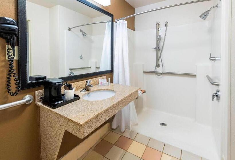 스탠다드 룸 킹사이즈 침대, Fairfield Inn & Suites Marianna