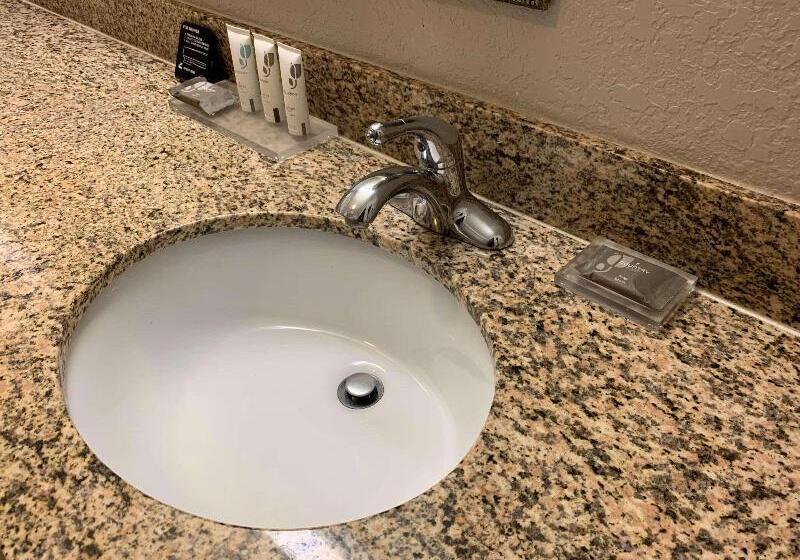 سوئیت با تخت بزرگ, Country Inn & Suites By Radisson, Jacksonville West, Fl