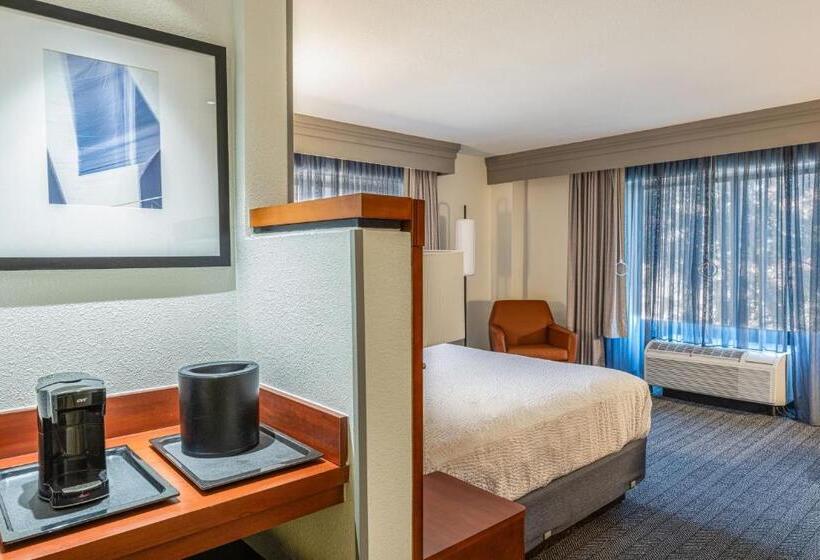 اتاق استاندارد با تخت بزرگ, Courtyard By Marriott Wichita At Old Town