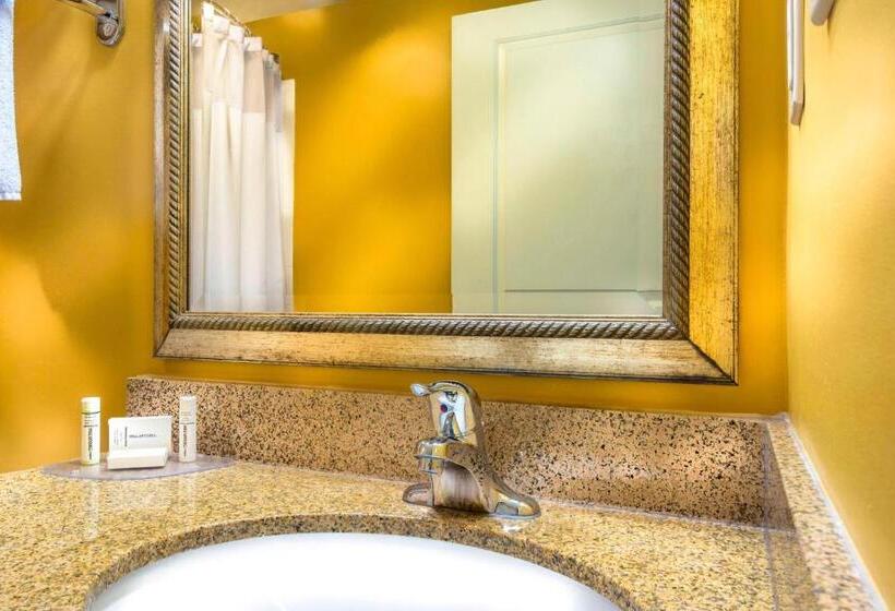 Люкс 2 Спальни, Towneplace Suites By Marriott Baltimore Bwi Airport