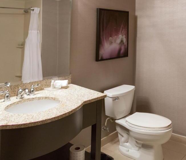חדר סטנדרט עם מיטת קינג, Tryp By Wyndham Savannah